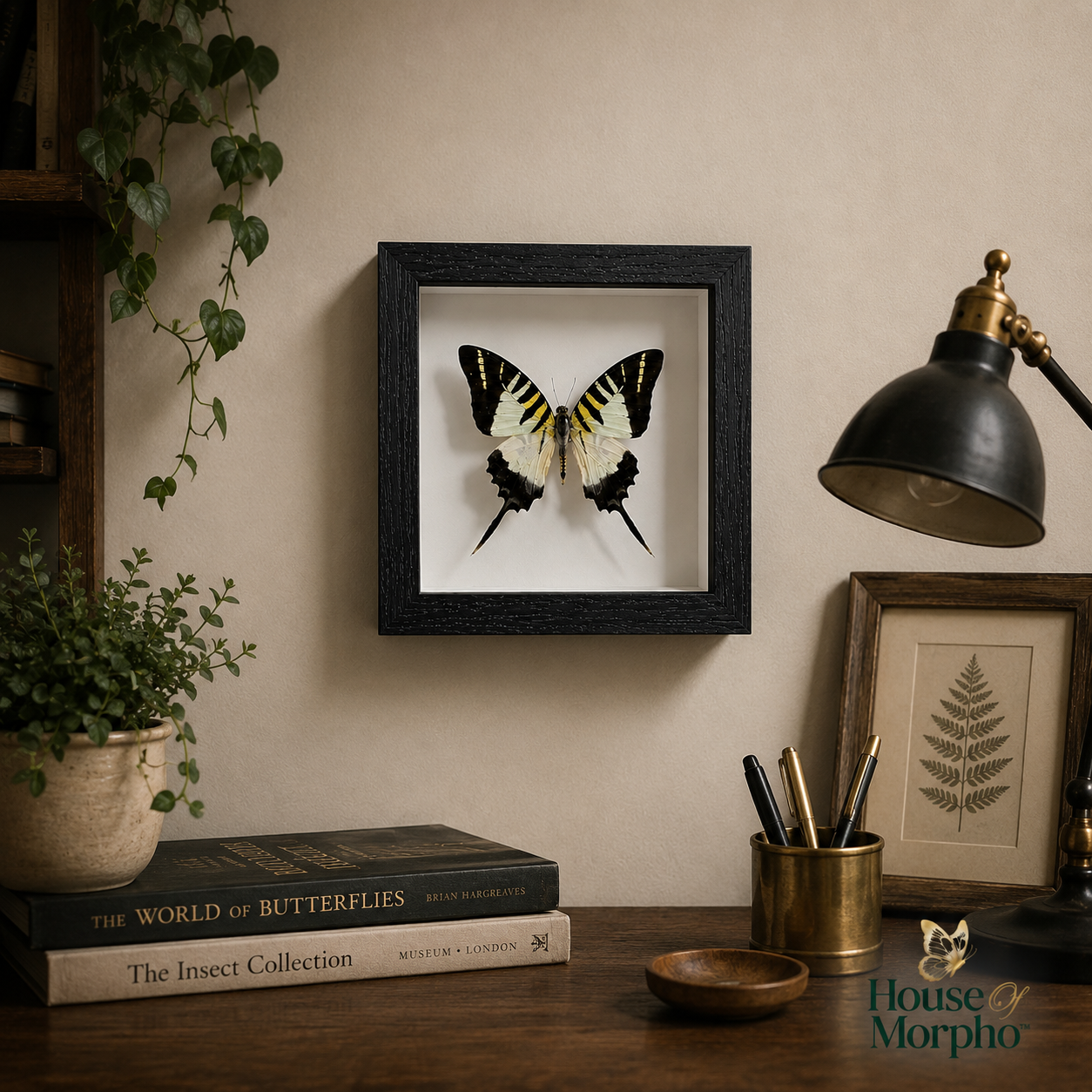 A framed butterfly specimen wall art piece hangs on a beige wall above a wooden desk with books, a lamp, and other decor. The product appears to be the framed butterfly print itself, shown in a styled interior setting.