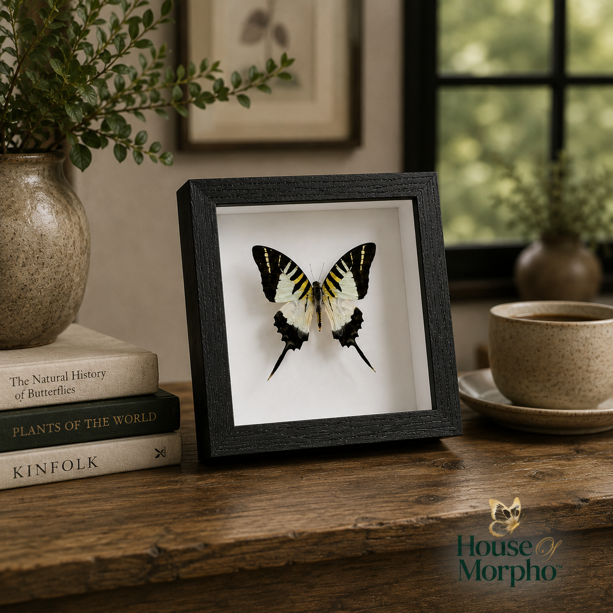 A framed butterfly taxidermy display sits on a rustic wooden table in a styled home interior setting, surrounded by books, a ceramic vase with greenery, and a cup of tea. The frame is black with a white mat showcasing a black, white, and yellow butterfly.