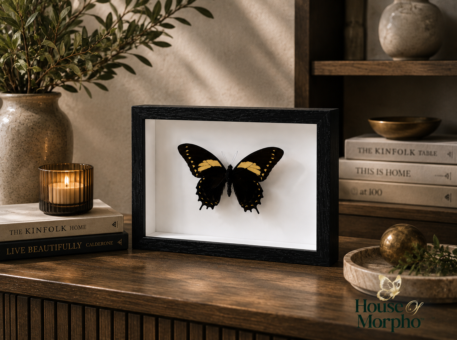 A black shadow box frame displaying a black and yellow butterfly mount, styled on a wooden shelf with books, a candle, and a plant.