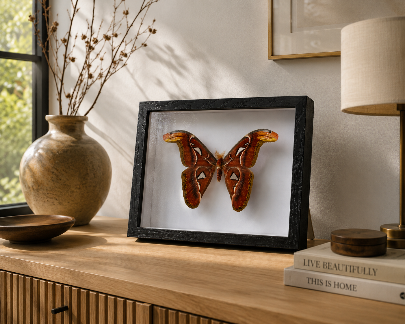 A framed taxidermy specimen of a large brown and orange butterfly mounted on a white background, displayed in a black frame on a wooden console table in a styled interior setting.