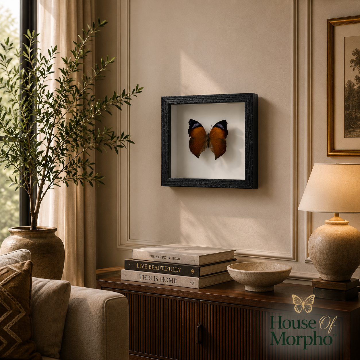 A framed butterfly wall art piece hangs on a beige wall in a styled living room setting with a wooden console, books, a lamp, and a potted plant.