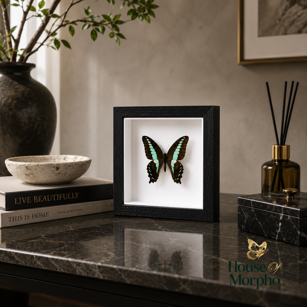 A black square shadow box frame displaying a preserved butterfly with green and black wings on a white insert, styled on a dark marble tabletop with books, a bowl, a reed diffuser, and a vase in a home interior.