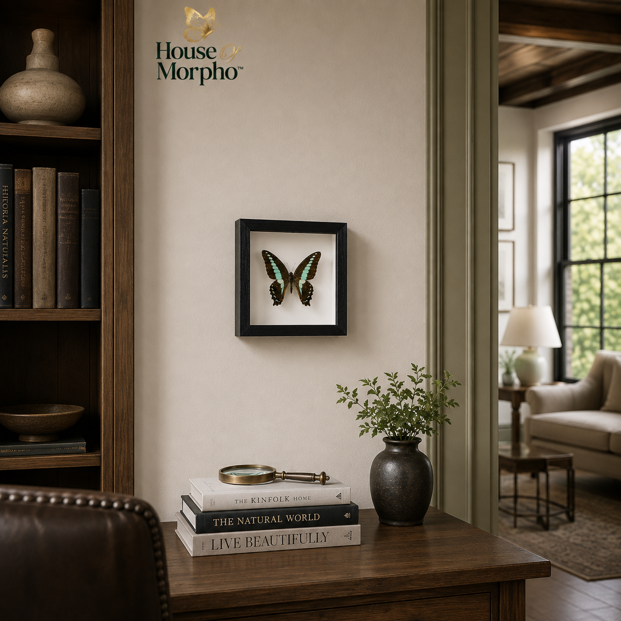 A framed butterfly taxidermy specimen displayed on a beige wall in a home office setting, with a wooden desk, books, and a plant below. The 'House of Morpho' brand logo is visible in the upper left corner.