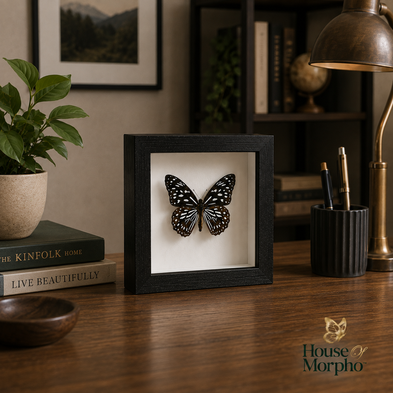 A black shadow box frame displaying a black and white patterned butterfly mounted on a white backing, styled on a wooden desk with a plant, books, and a lamp in a home office setting.