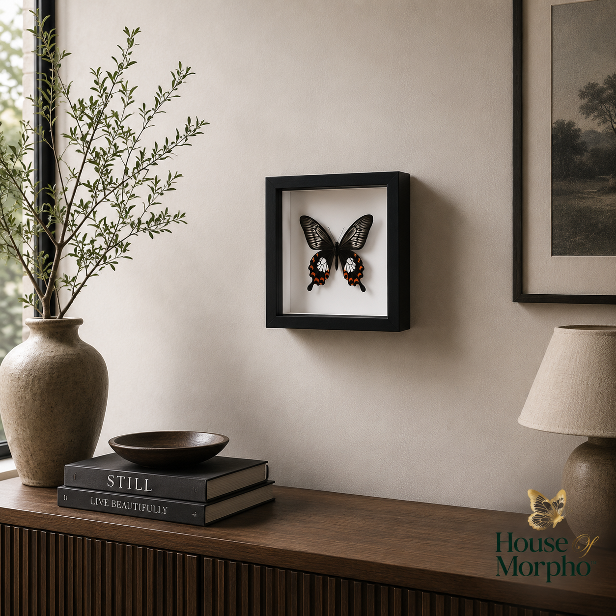 A black square shadow box frame displaying a preserved butterfly on a white insert, mounted on a beige wall above a wooden console table with books, a vase, and a lamp.