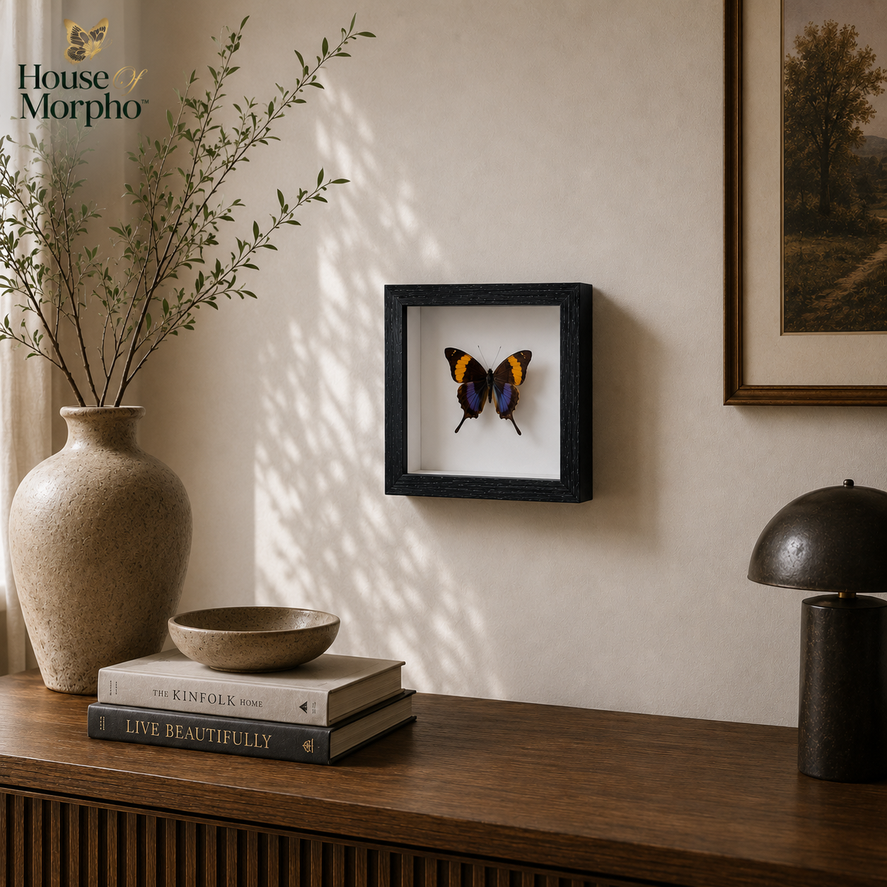 A framed butterfly taxidermy display hangs on a beige wall above a wooden console table styled with a vase, books, a bowl, and a lamp. The House of Morpho brand logo is visible in the top left corner.