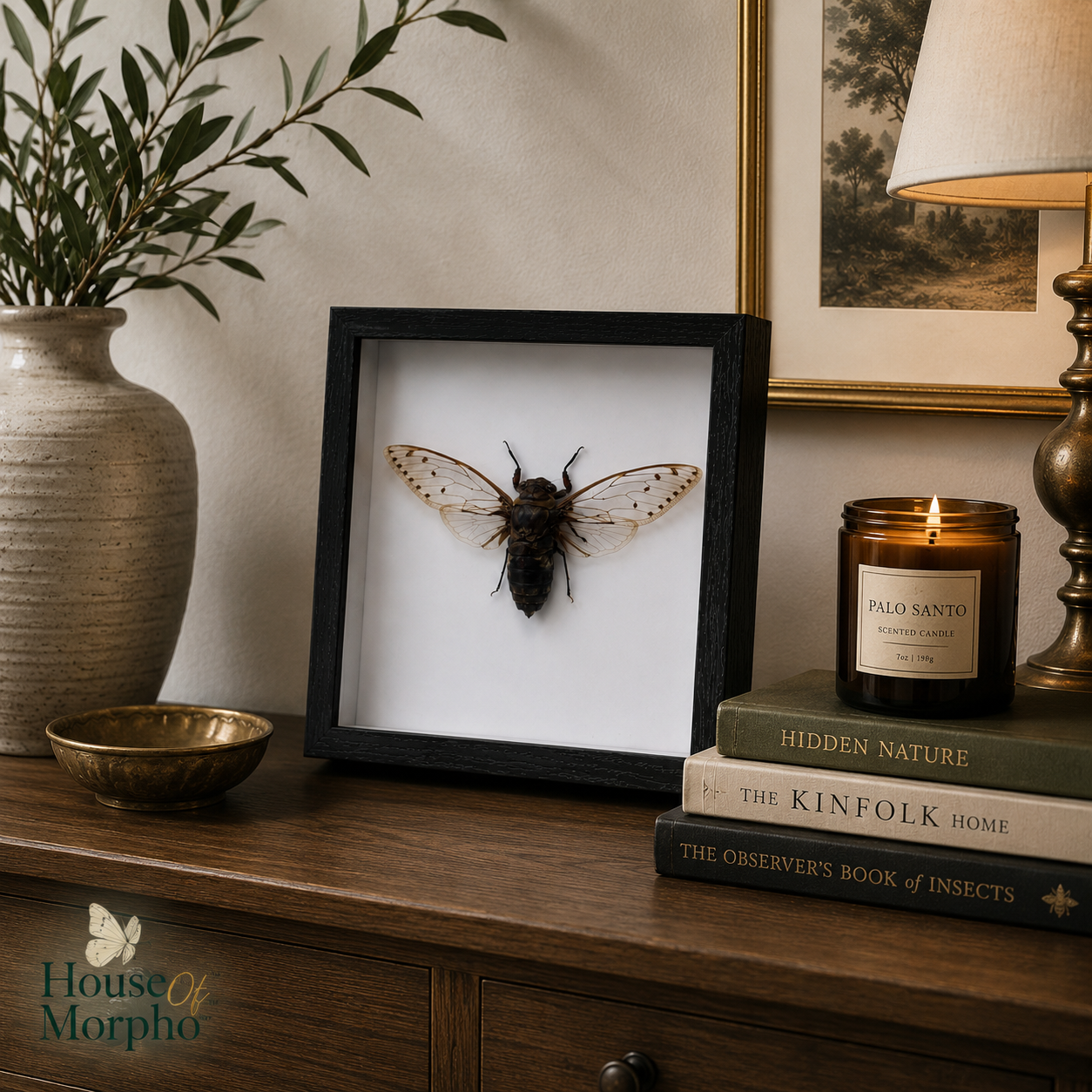 A framed preserved insect specimen with spread wings displayed on a wooden console table, styled with a candle, books, a vase, and a lamp in an indoor room setting.
