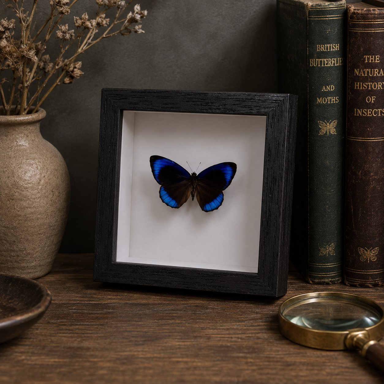 A black shadow box frame displaying a preserved blue and black butterfly on a white background, styled on a wooden table with vintage books, a vase of dried flowers, and a magnifying glass.