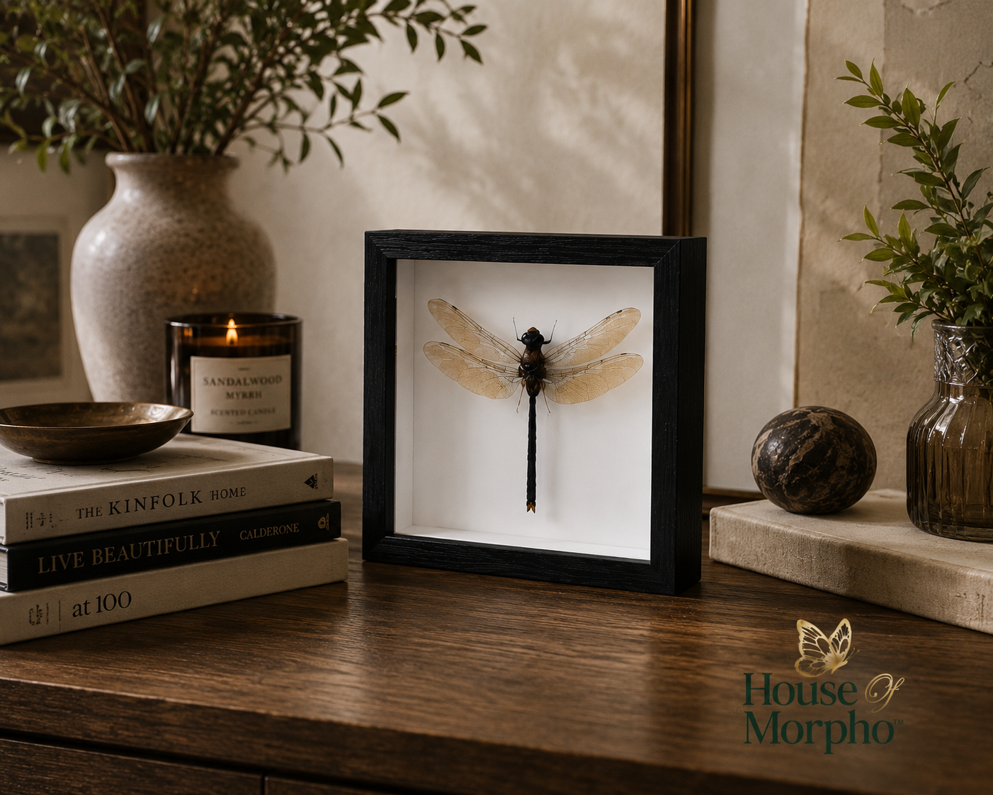 A black-framed taxidermy dragonfly display mounted on a white background, styled on a wooden table with a candle, books, and decorative vases in a warm indoor setting.