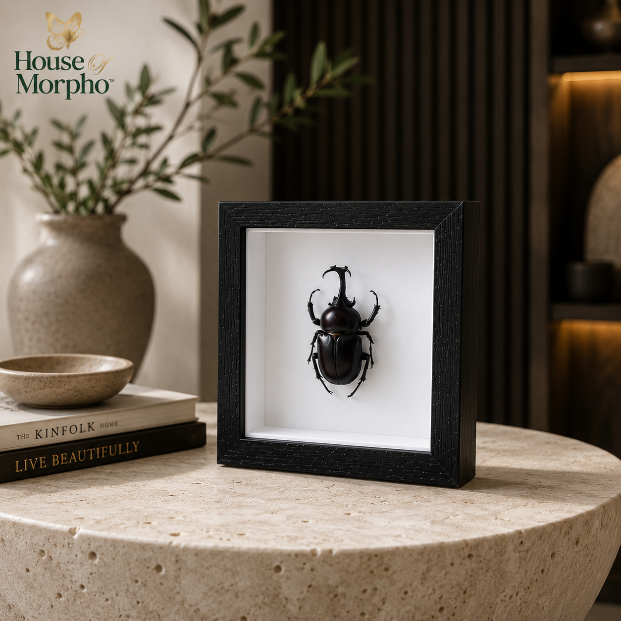 A black square shadow box display featuring a mounted black beetle on a white background, styled on a round stone table with books and a vase in a warm interior setting. The House of Morpho brand logo appears in the upper left.