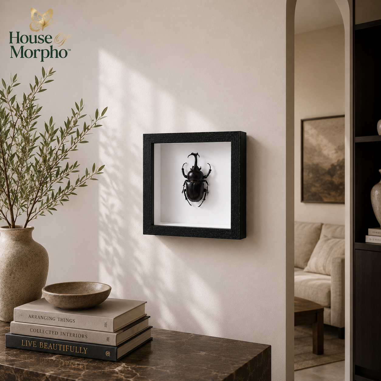 A framed black beetle taxidermy wall art piece hanging on a warm beige wall in a styled interior setting with a vase, books, and a sofa visible in the background.