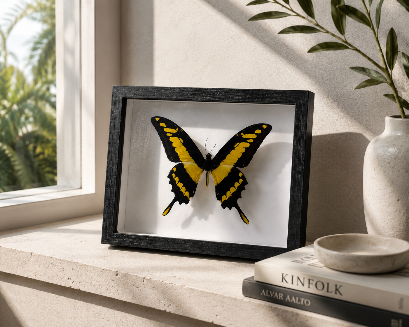 A framed butterfly taxidermy specimen with yellow and black wings, displayed in a black frame on a windowsill with a vase, books, and a bowl nearby.