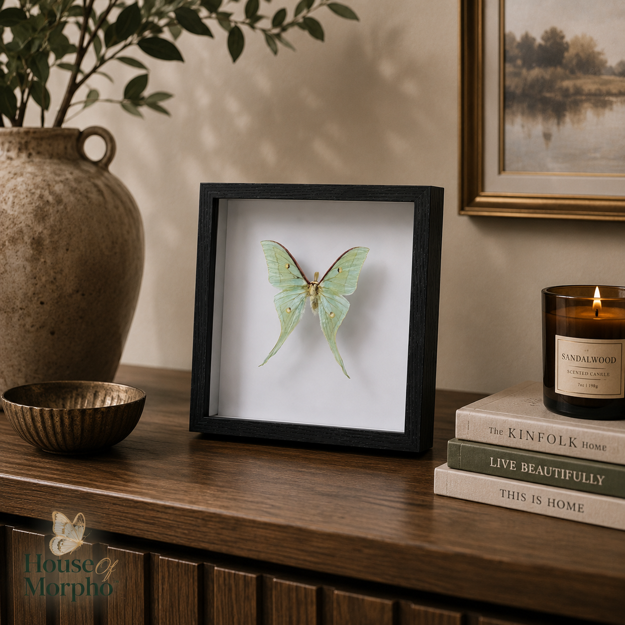 A black square shadow box frame displaying a preserved light green butterfly mounted on a white background, styled on a wooden console table with a ceramic vase, bowl, candle, and books in a warm interior setting.