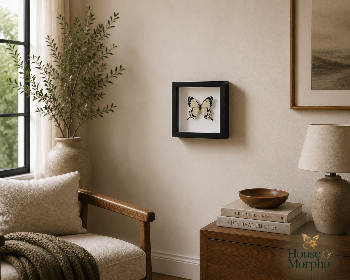 A framed butterfly taxidermy wall art piece hangs on a beige wall in a styled room with a wooden armchair, a lamp, books, and a potted plant.