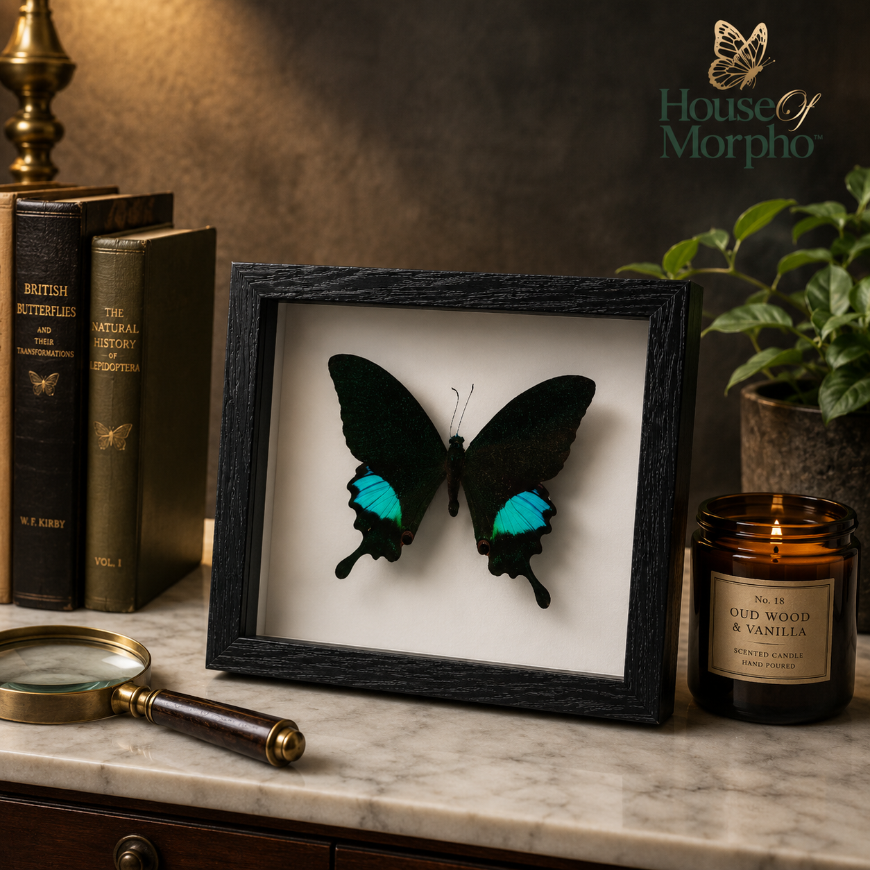A framed butterfly wall art piece displayed on a marble surface in a styled room setting, with vintage books, a magnifying glass, a lit candle, and a plant. The product is a black butterfly in a black frame with a white background insert.