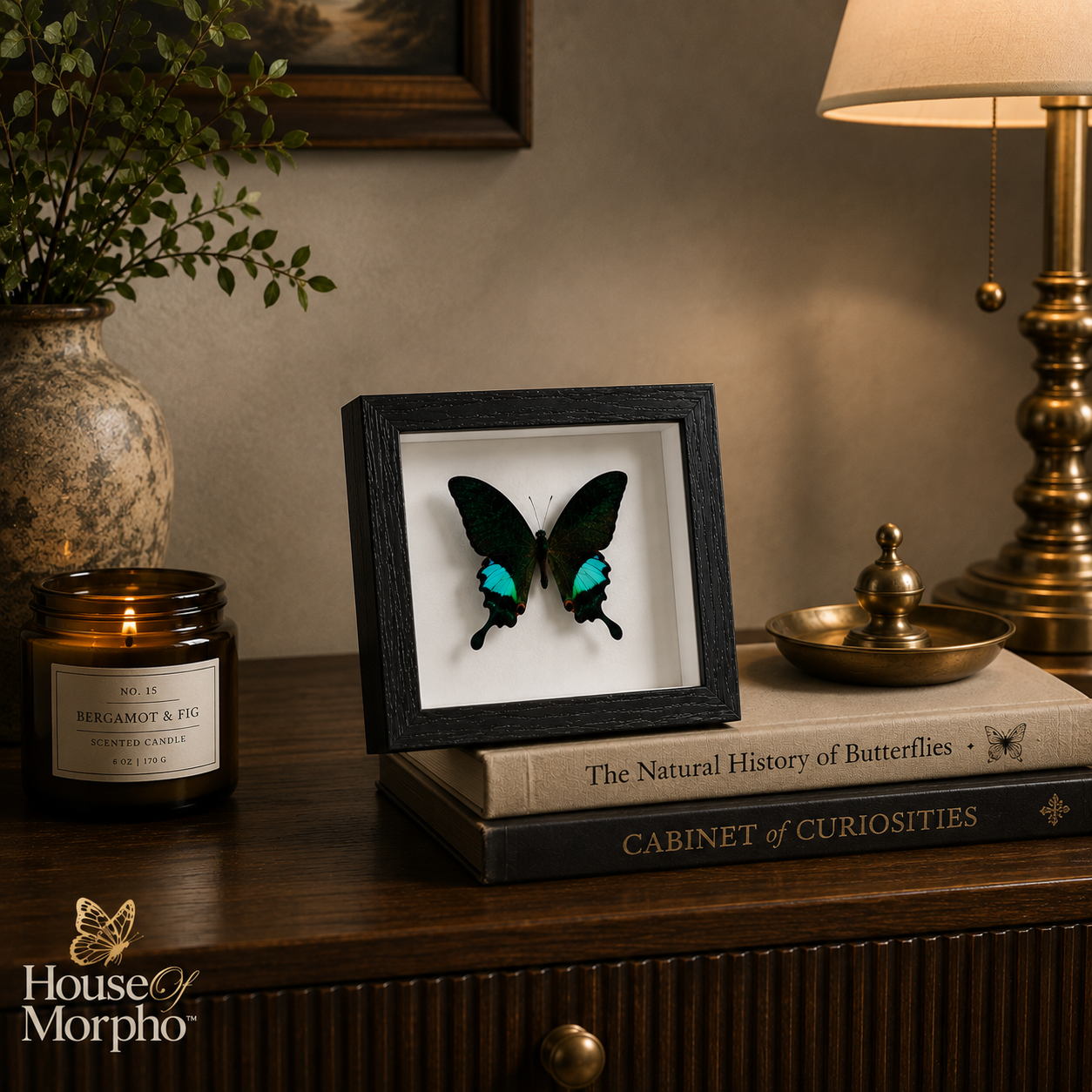 A framed butterfly specimen display stands on stacked books on a wooden cabinet, surrounded by a lit candle, a vase with greenery, and a table lamp in a styled interior setting.