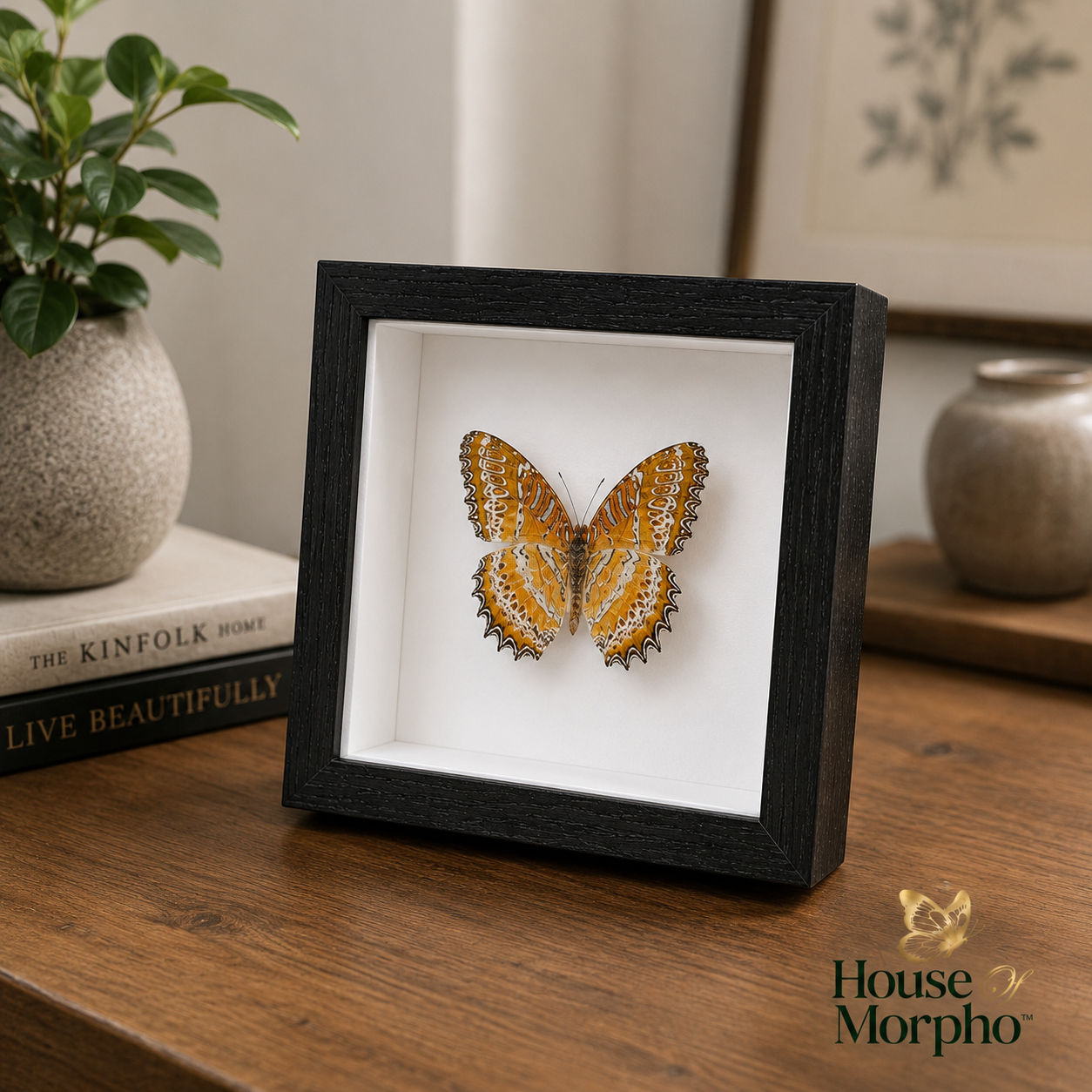 A black shadow box frame displaying a preserved orange and yellow butterfly with black edging, set on a wooden tabletop in a styled interior scene with books, a plant, and framed art in the background.