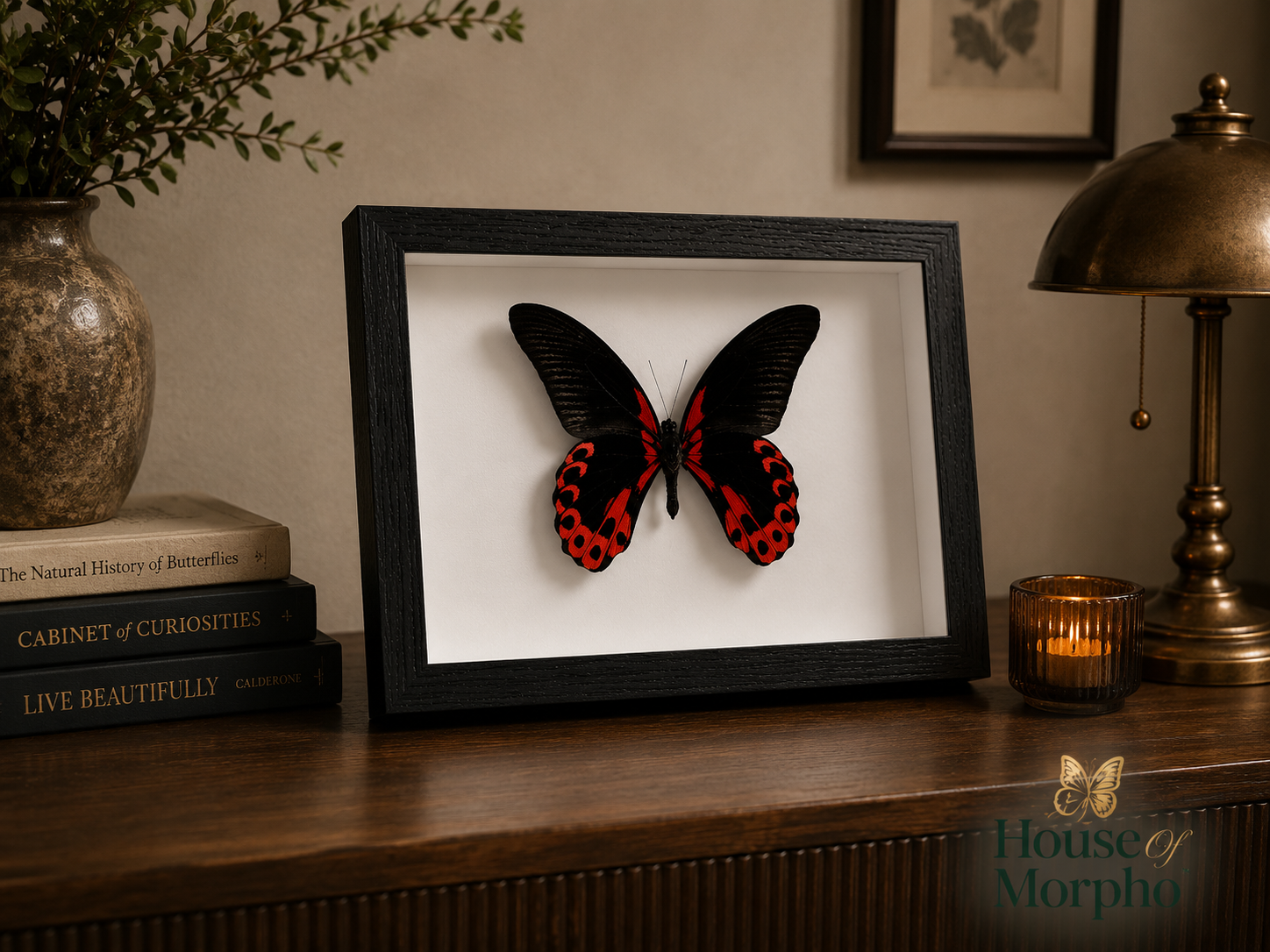 A framed butterfly taxidermy piece displayed on a wooden console table in a styled room setting. The butterfly has black wings with vibrant red and orange spots on the lower edges, mounted inside a black shadowbox frame with a white mat.