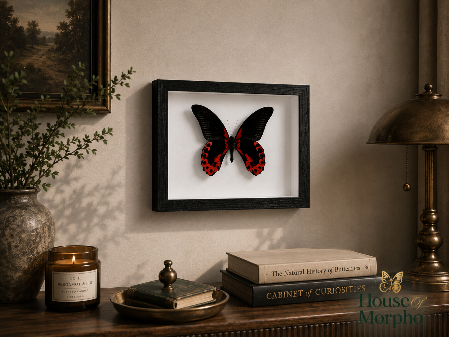 A framed butterfly display mounted on a beige wall above a wooden console table. The product is a black shadowbox frame containing a preserved butterfly with black wings and red-and-black patterned hindwings on a white insert.