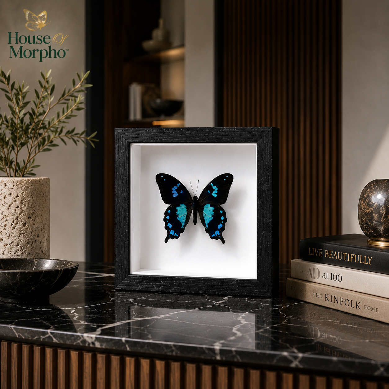 A framed butterfly taxidermy display sits on a black marble countertop in a styled interior setting. The black square frame contains a preserved butterfly with bright blue and turquoise wings against a white backing.