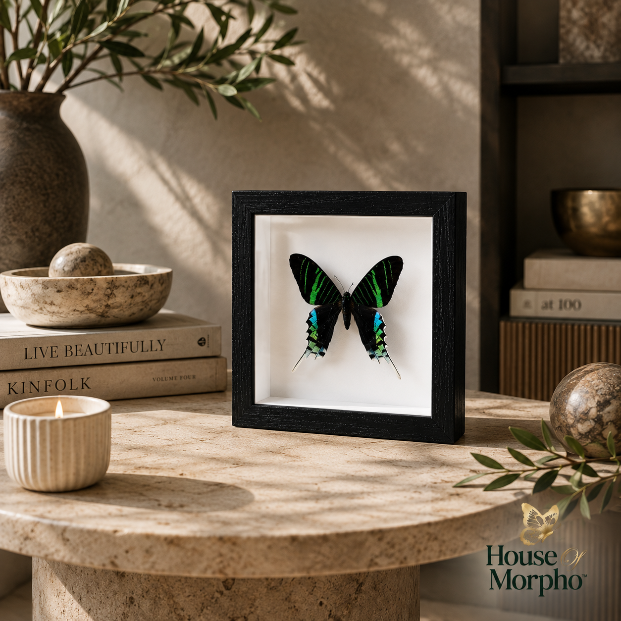 A framed butterfly wall art piece displayed on a stone table in a styled interior setting. The black shadowbox frame contains a preserved butterfly with iridescent green and blue wings on a white background.