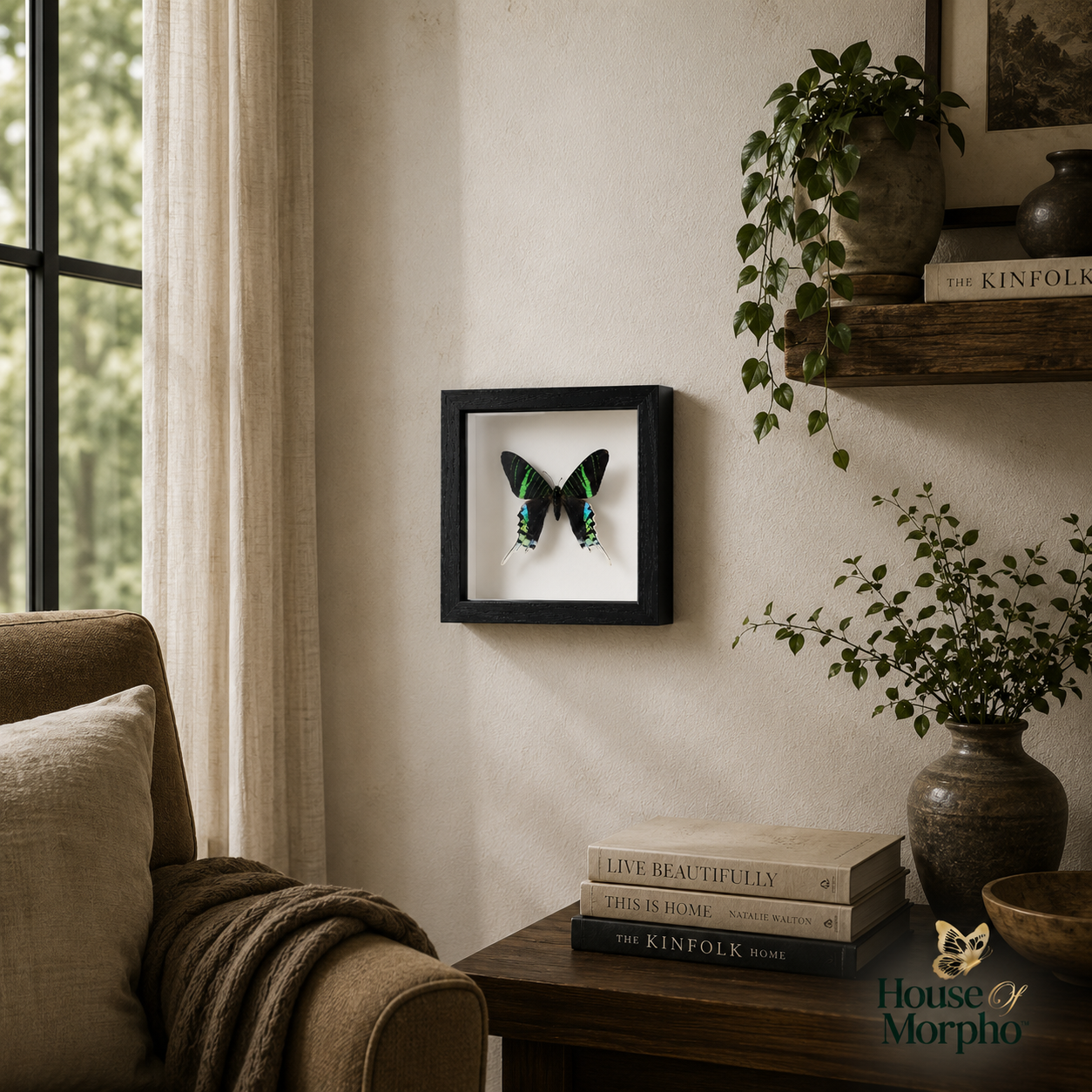 A framed butterfly wall art piece hangs on a beige wall in a styled living room setting with a sofa, shelf, books, and potted plants.