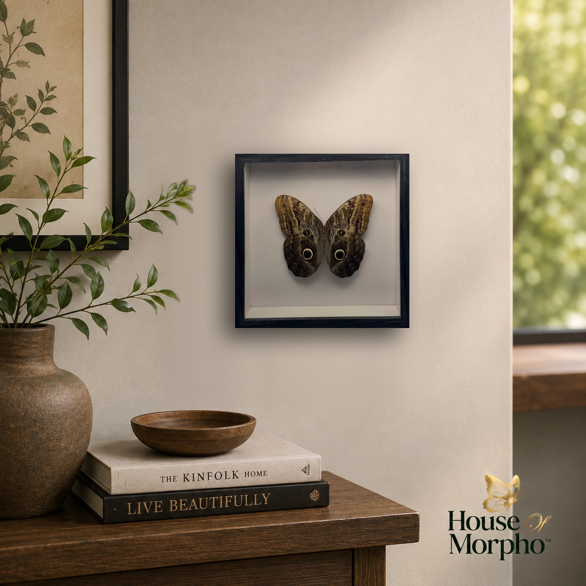 A preserved Owl Butterfly in a black shadow box frame hanging on a beige wall above a wooden console with books and greenery.