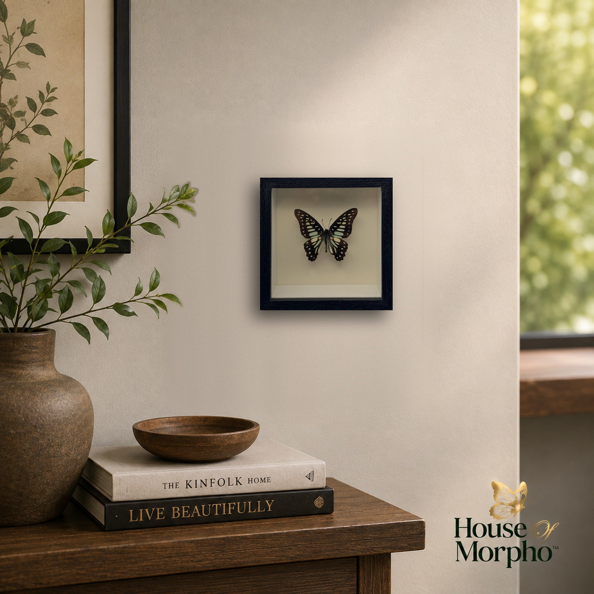 A preserved Common Jay Butterfly in a black shadow box frame hanging on a beige wall above a wooden console with books and greenery.