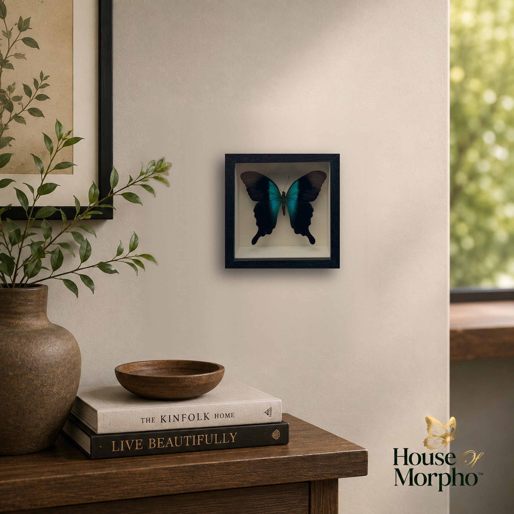 A preserved Indonesian Peranthus Swallowtail in a black shadow box frame hanging on a beige wall above a wooden console with books and greenery.