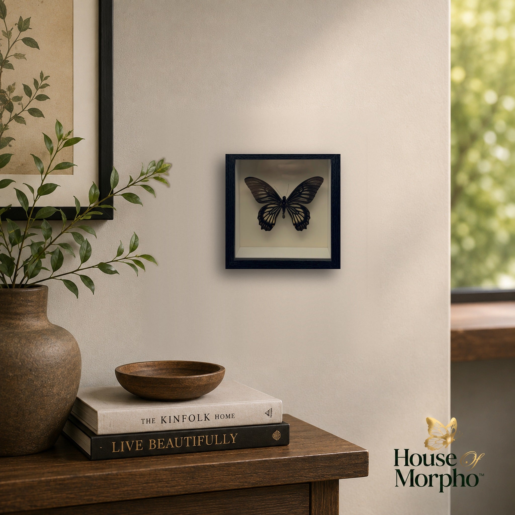 A preserved Ghost Swallowtail in a black shadow box frame hanging on a beige wall above a wooden console with books and greenery.