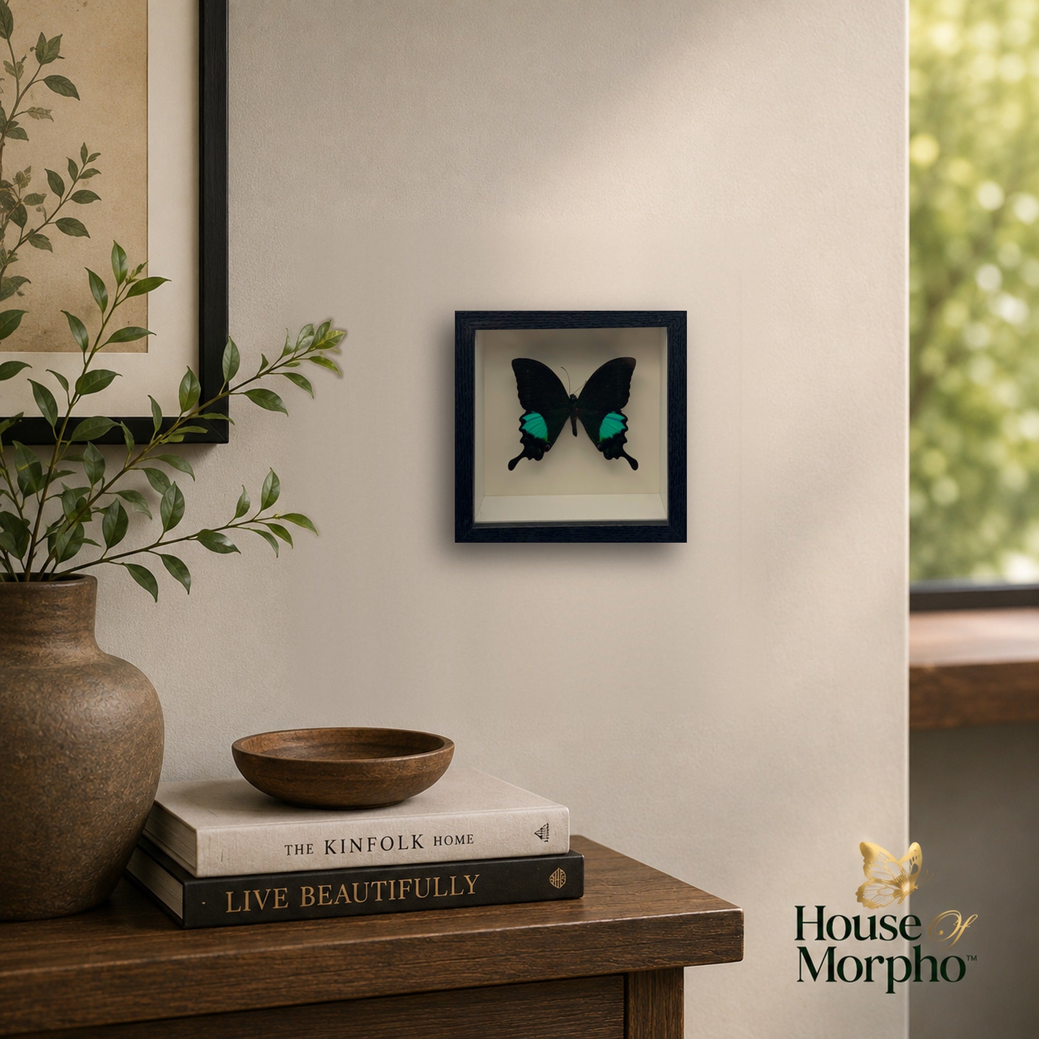 A preserved Karna Peacock Swallowtail in a black shadow box frame hanging on a beige wall above a wooden console with books and greenery.